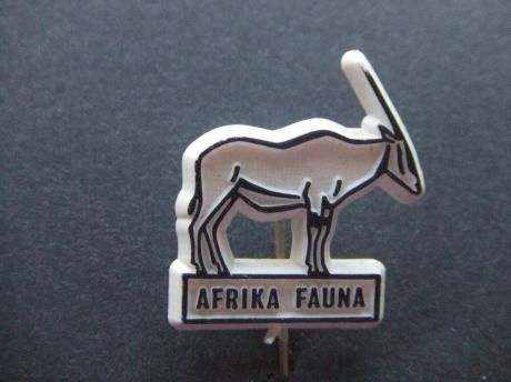 Afrika- Fauna ( Antilope) 